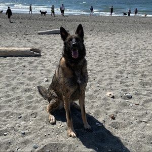 Meet your Posher, Sofia